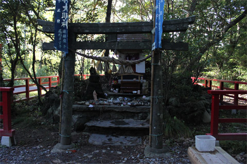 猫神社8.jpg