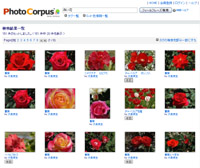 写真検索