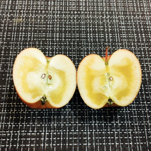 りんご豆知識 | 田中林檎園 青森りんごが出来るまでの365日