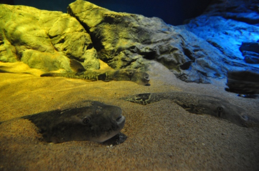 DSC_2508.jpg