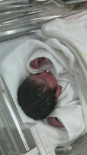 2011011920260000.jpg