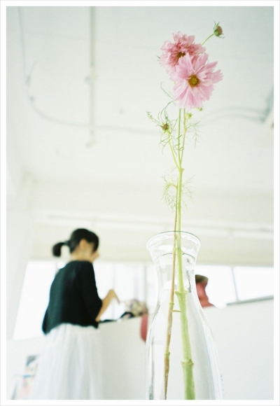 cosmos (2).jpg