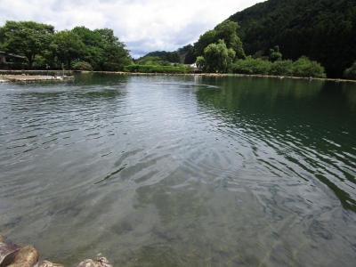 20180728¥Õ¥£¥Ã¥·¥ó¥°¥ê¥¾¡¼¥È¾å±ÊÌî05-2