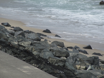 20200809海釣り09-1