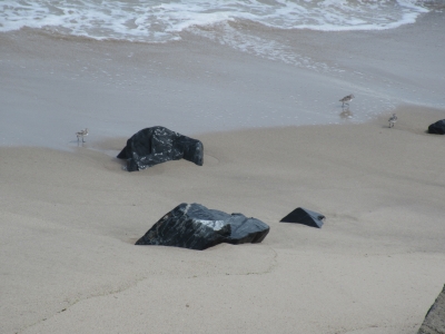 20200809海釣り09-2