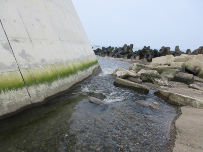 20200809海釣り19-1