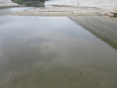 20200809海釣り21