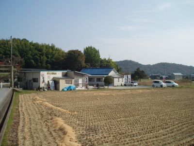 見つけた〜!