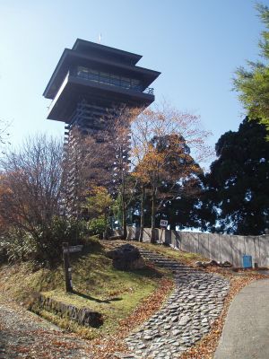 ここの目印。