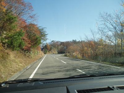 いい道だ。