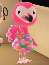 ���Ŀ���̱�Ҳ�