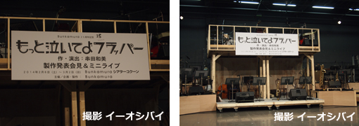 その他DVD　もっと泣いてよフラッパー 楽天市場】もっと泣いてよフラッパー（CD・DVD）の通販