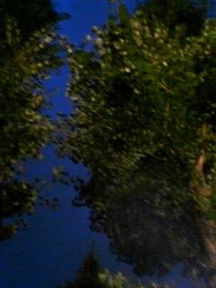 20060910_173568.jpg