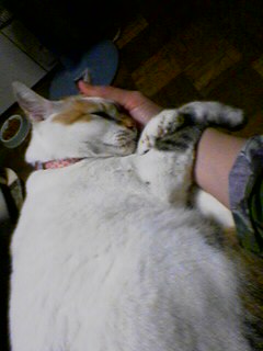 20060924_185391.jpg