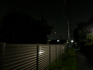 resized_01.jpg