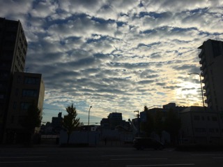 IMG_5583.JPG