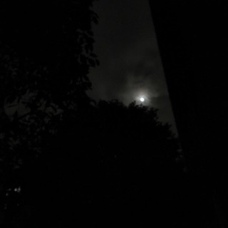 IMG_1834.JPG