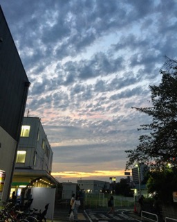 IMG_4278.JPG