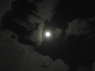 IMG_4648.JPG