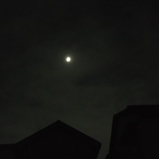 IMG_6645.JPG