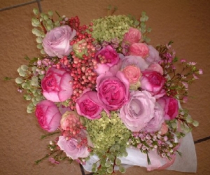 wildpink