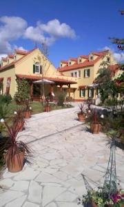 puulia2