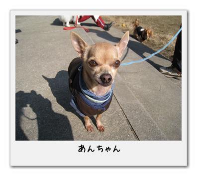 an-chan