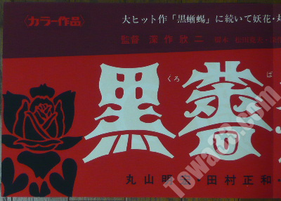 2989_01.JPG