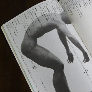 3649_03.JPG