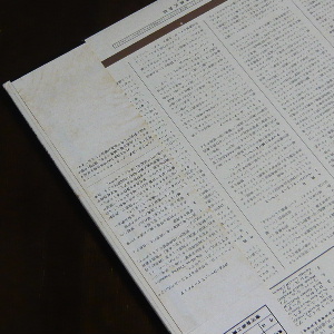 3767_02.JPG