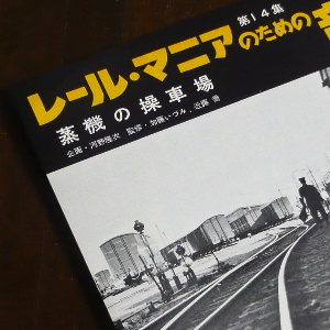 4033_14.JPG