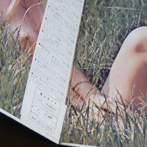 6502_02.JPG