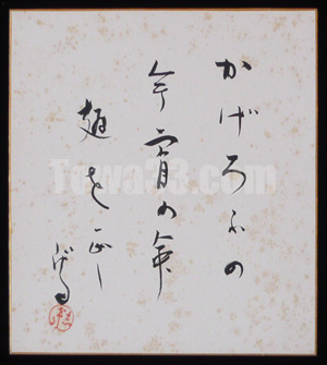 8370_02.jpg