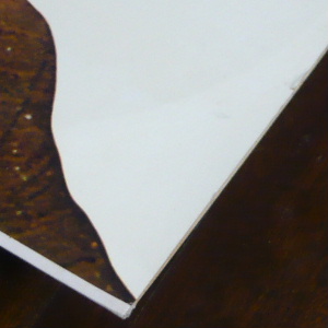 9881_04.jpg