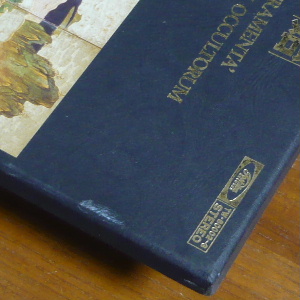 697_02.JPG