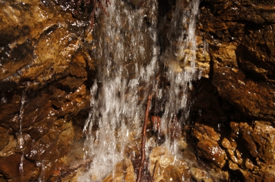 193.JPG