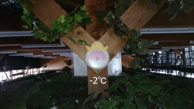 DSC_0074.JPG