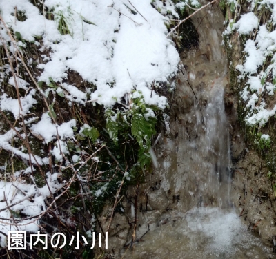 DSC_0338.JPG