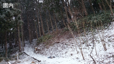 DSC_0341.JPG