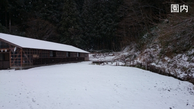 DSC_0350.JPG