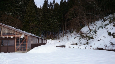 DSC_0425.JPG