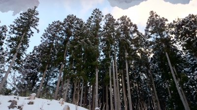 DSC_0439.JPG