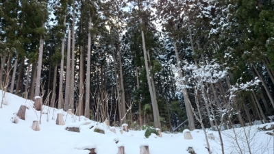 DSC_0440.JPG