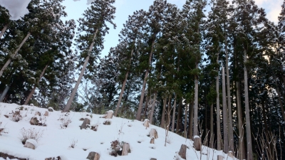 DSC_0441.JPG