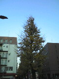 ST330079.jpg