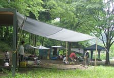 屋根.JPG
