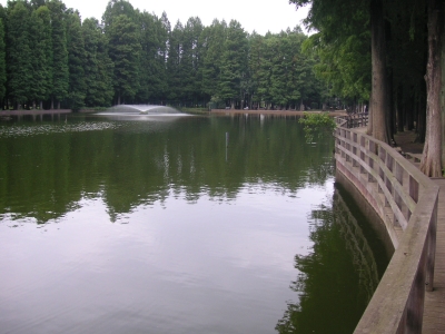 別所沼公園(さいたま市)