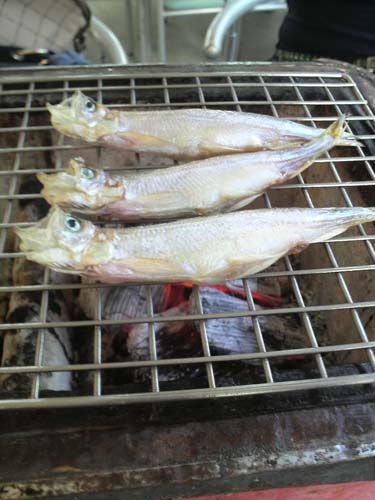 2011鵡川炭焼き