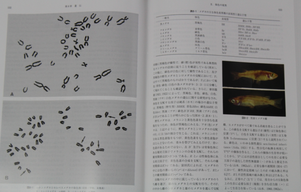 メダカ学全書