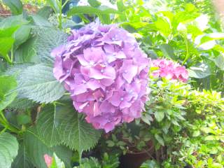 130617_101750.jpg